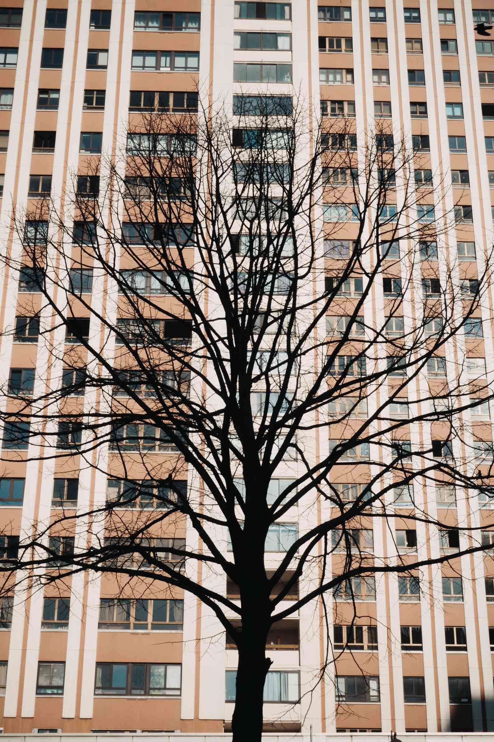 ©2024 Raphael Levy - All rights reserved