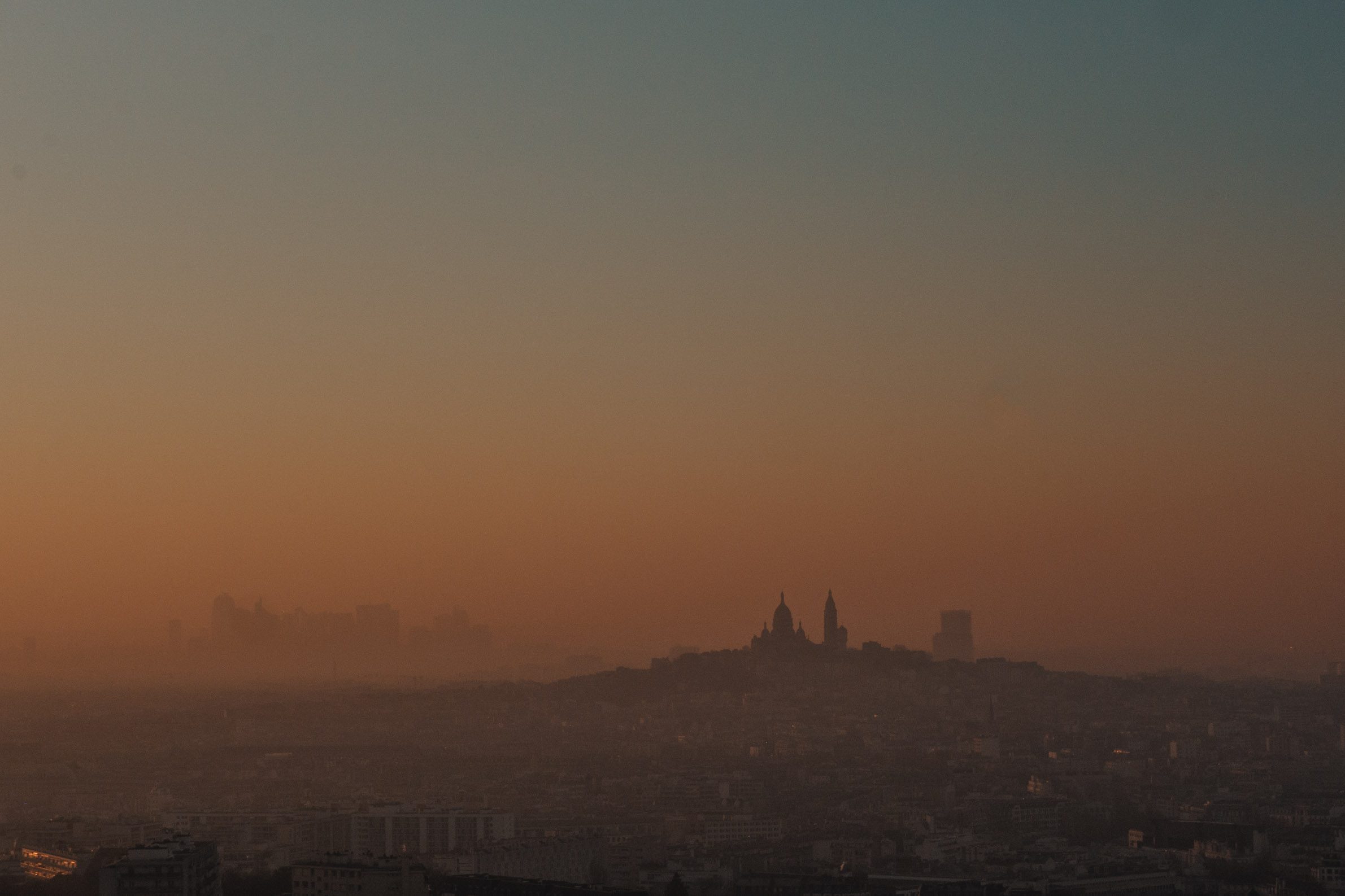 ©2024 Raphael Levy - All rights reserved